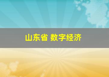 山东省 数字经济